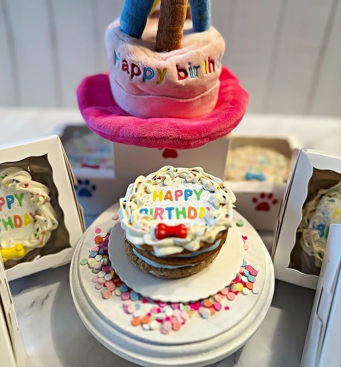 Dog Birthday Cake- Edible Puppy Party Crunchy Cookie Treat Decorated Gift - Bad to The Bone- Perfect Dog Gift