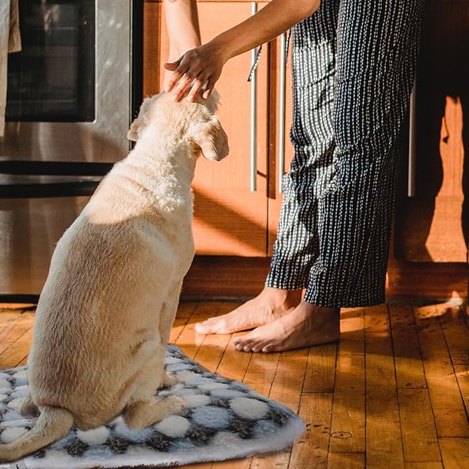 ABOOFAN 2pcs Pet Sleeping Mats Warm Floor Throw Mats Blue Polka Dot Soft Sofa Cushion Pads for Dogs and Cats Autumn Winter Pet Supplies
