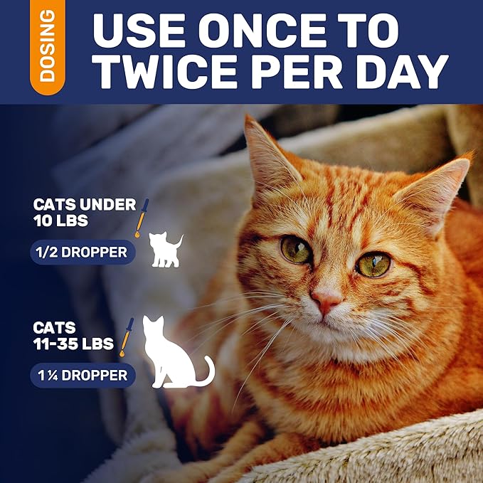 Antibiotics for Cats in Drops – Сat Respiratory Infection Treatment: Cold, Cough, and Allergies – Cat UTI Treatment with Turkey Flavor – May Support Hips & Joints – Proper for All Ages & Breeds – 2 Oz