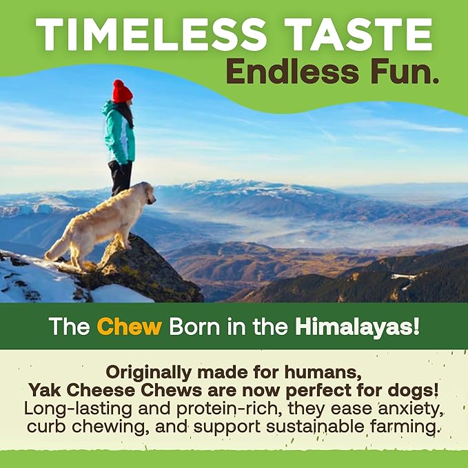 EcoKind Premium Gold Yak Cheese Himalayan Dog Chews, Healthy Dog Treats for Small Dogs, All Natural, High Protein Dog Chew, Cheese, Small - 16 Chews