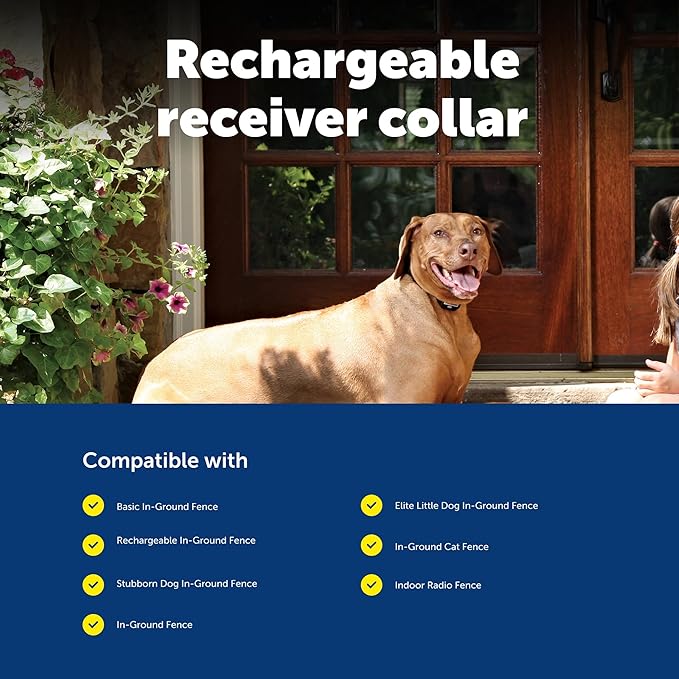 PetSafe Rechargeable In-Ground Pet Fence Receiver Collar for Cats and Dogs, Waterproof with Tone and Static Correction, Fits Pets 5 lbs and Up from The Parent Company of The Invisible Fence Brand
