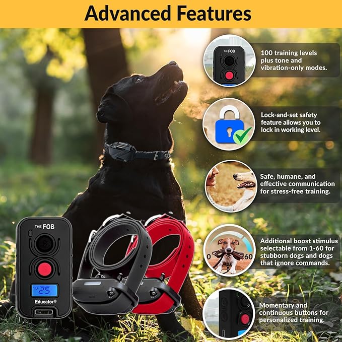 Educator FOB 300 Yard Dog Training Collar with Remote and Finger Button, Humane Stimulation, Pavlovian Tone, Waterproof, Odorproof Biothane Collar, Night Light, Rechargeable, 2 Dog (USA Only), Black