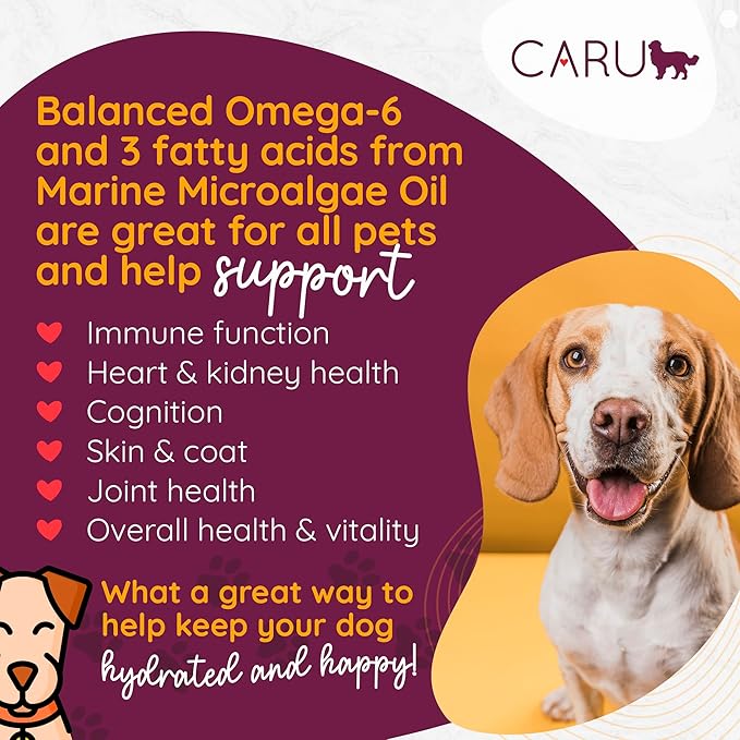 Caru - Daily Dish Chicken Stew - for Dogs - Supports Overall Pet Health - Wet Dog Food/Meal Topper - Human Grade Ingredients - Grain, Corn & Soy Free - Non-GMO - Made in USA - 12 oz - Pack of 4