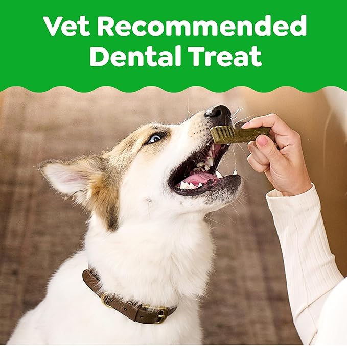 Greenies Veterinarian-Recommended Adult Natural Dental Dog Treats Large Size, Dog Dental Chews, Original Flavor, 6 oz. Pack, 4 Count
