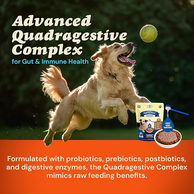 CLEAR CONSCIENCE PET® Bon A' La Goat™ SuperGravy® Natural Dog Food Gravy Topper, Hydration Broth Mix, Gluten and Grain Free Kibble Seasoning Powder Topper for Picky Eaters (9 oz. (60 Scoop))