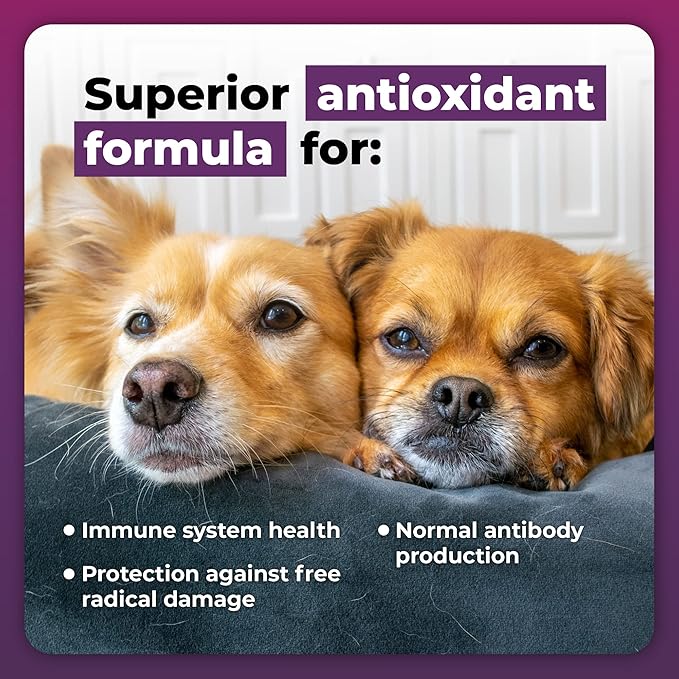VetriScience Immunity Health Easy-Open Capsules, Immune Plus Supplement for Small Breed Dogs, Cell Advance Immune and Allergy Support with Antioxidants, Hypoallergenic Formula, 120 Count