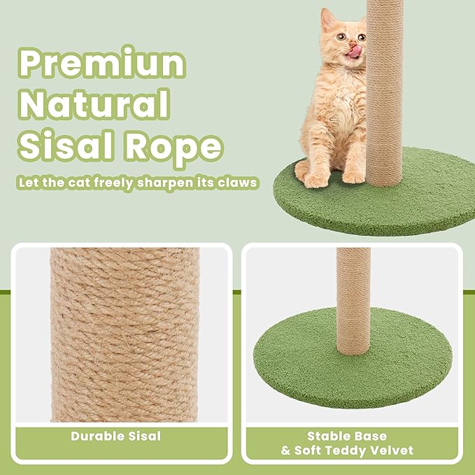 33" Tall Cat Scratching Posts for Indoor Cats, Cat Scratching Post Premium Basics Kitten Scratcher Sisal Scratch Posts with Hanging Ball, All Ages with Reinforced Stable Base, Green