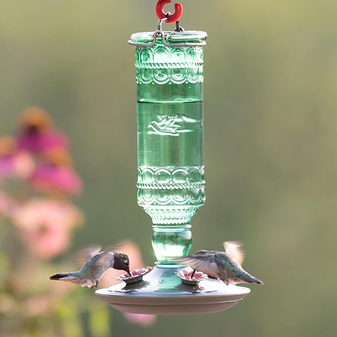Perky-Pet Glass Bottle Hummingbird Feeder - Outdoor Garden Décor Humming Bird Feeder,8108-1SR - 10 Fl Oz Nectar Capacity - Durable Green Antique Design - Hang from Tree,Porch,Deck,Hook,(Pack of 6)
