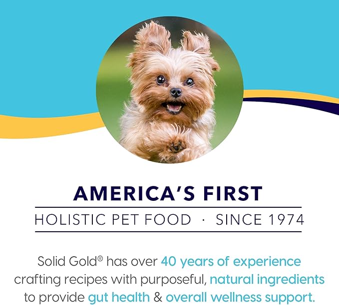 Solid Gold Mighty Mini Lamb, Sweet Potato & Cranberry Recipe Grain Free Wet Dog Food, 3.5 oz.