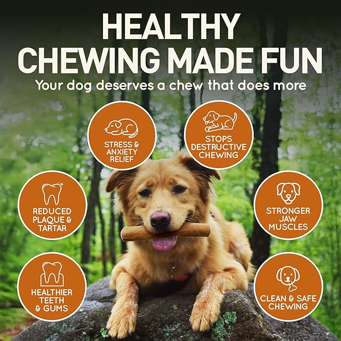 Wildfang® Coffee Wood Dog Chew, Medium – Tough Chew Toys for Aggressive Chewers, Dog Teething Toys for Puppies, Training for Chewing Muscles, Coffee Tree Sticks for Medium Dogs (33–55 lbs), Pack of 3