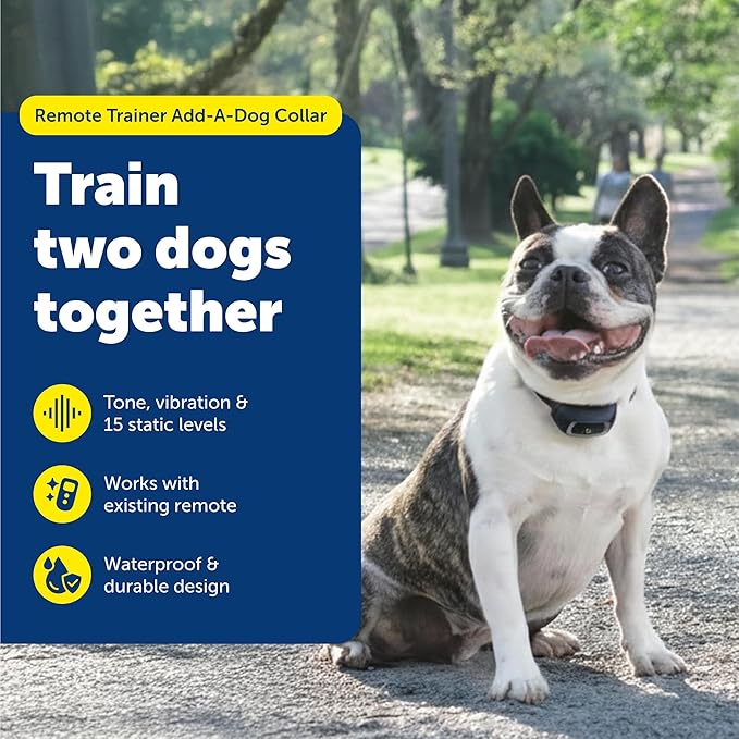 PetSafe Pro Trainer Add-A-Dog Collar - Waterproof & Rechargeable Remote Behavior Training Collar - Double Pairing Compatible for Multi-Pet Households - Small/Medium