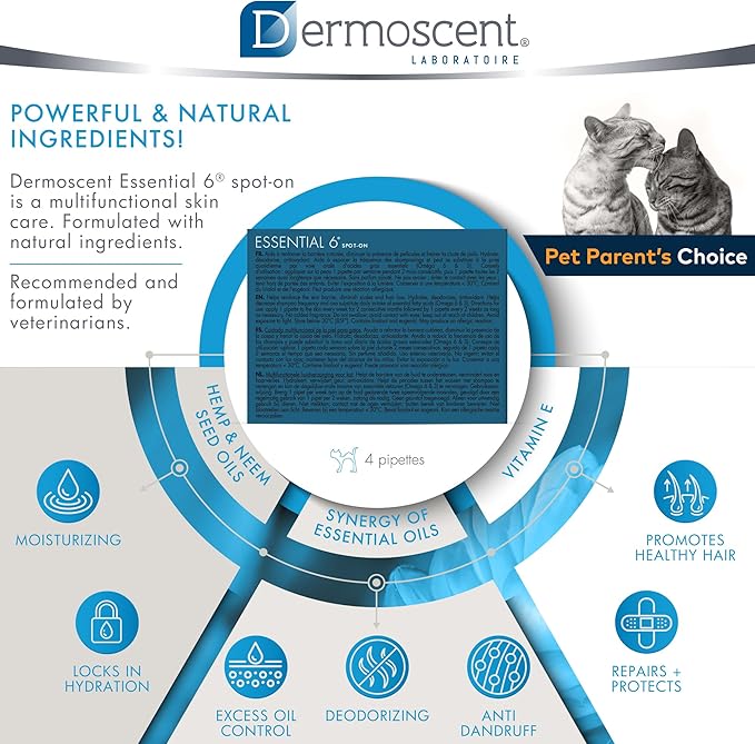 Bayer Dermoscent Essential 6 Spot On Skin Care for Cats Pet Itch Remedies