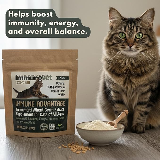 Cat Supplement Powder with Fermented Wheat Germ Extract (FWGE) – Supports Immune System, Gut Health & Energy – Natural, Non-GMO, Vet-Trusted Formula for All Cat Ages – 90g | Immunovet