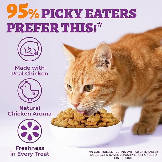 13.05 oz Wellix Allergy Treats for Dogs & Cats - Cat & Dog Allergy & Immune Support - Cat Allergy Relief, Dog Itch Relief - for Small, Medium, Large Dogs&Cats - Kitten Treat, Puppy Treat