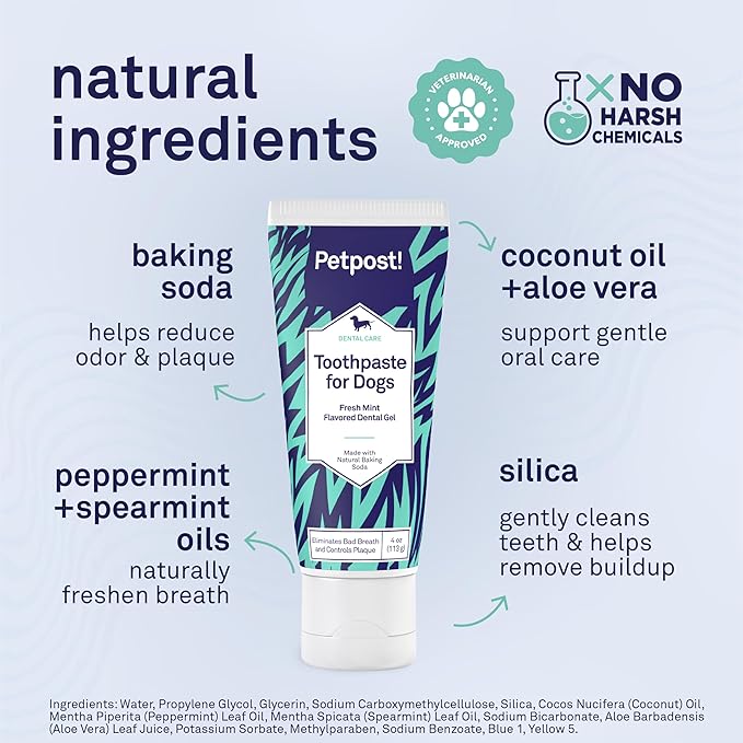 Petpost | Toothpaste for Dogs - Coconut Oil and Baking Soda Based Dental Gel That Naturally Eliminates Bad Breath - Dirt, Gunk, and Tooth Buildup Gone - Mint Flavor 4 oz.