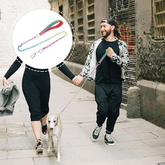 Sturdy Wear-Resistant Metal Chain Dog Leash 3.0mm Sturdy Portable Puppy Walking Leash for Outdoor Pet Supplies