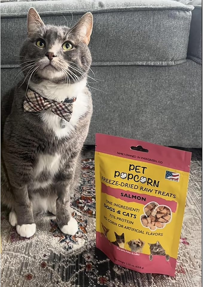 Freeze-Dried Raw Treats - Salmon - 2.5oz Bag, Dog & Cat Snacks, Single Ingredient, Natural, Pet Food Topper-Reward, Protein‑Packed Fish