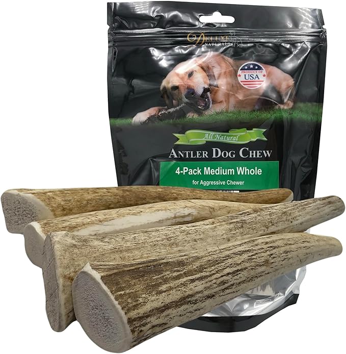 4-Pack Medium Whole Elk Antler Dog Chews, 5.5 to 8+ Inch Natural Long-Lasting Chew Bones for Small and Medium Dogs Under 40 lbs, Teeth Cleaning and Tartar Control
