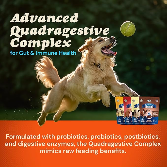 Clear Conscience PET® Four-Pack SuperGravy® Natural Dog Food Gravy Topper, Hydration Broth Mix, Gluten and Grain Free Kibble Seasoning Powder Topper for Picky Eaters 30 Scoop Bags, 120 Scoop