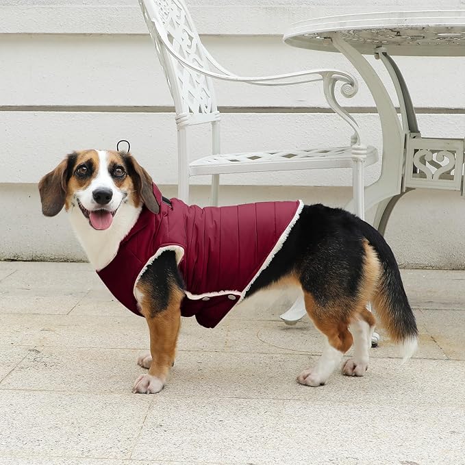 Fleece Lining Dog Hoodie with Harness Built in,Extra Warm Small Dog Jacket in Winter Puppy Coats with Drawstring Hooded,Red M