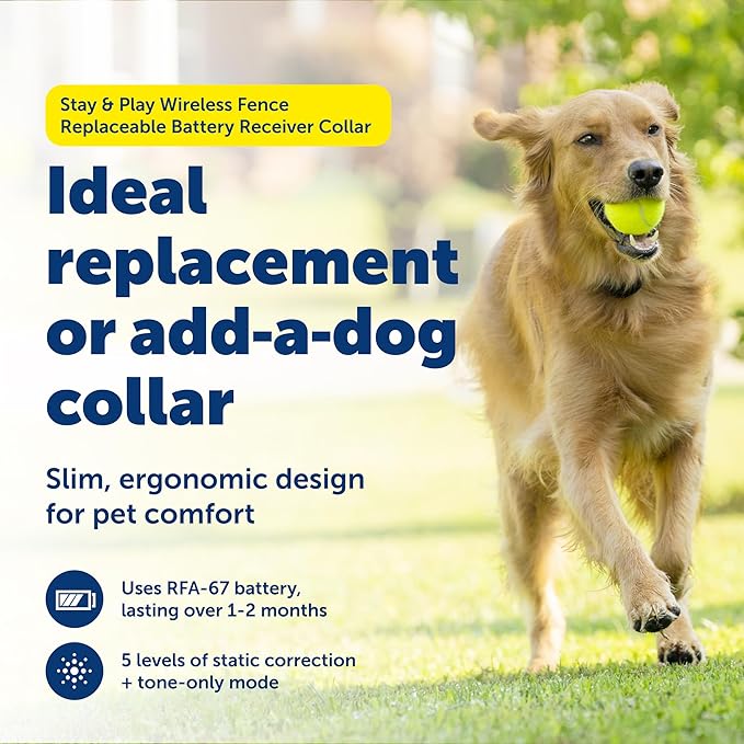 PetSafe Stay & Play Wireless Fence Replaceable Battery Receiver Collar - Waterproof & Battery-Operated Adjustable Static Correction Collar - for Dogs 5lb+