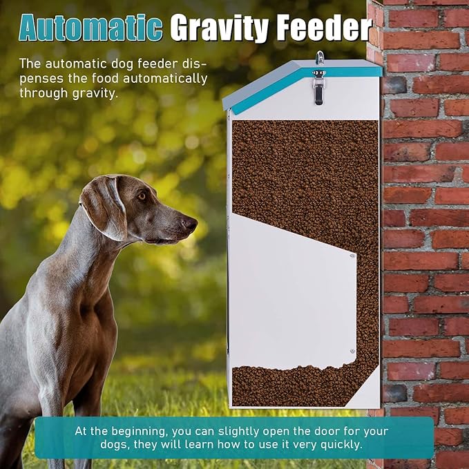 Automatic Dog Feeder Large Breed 50 lb, Galvanized Metal Gravity Self Feeding Dog Food Dispenser Extra Large Automatic Pet Feeder, for Indoor or Outdoor Use