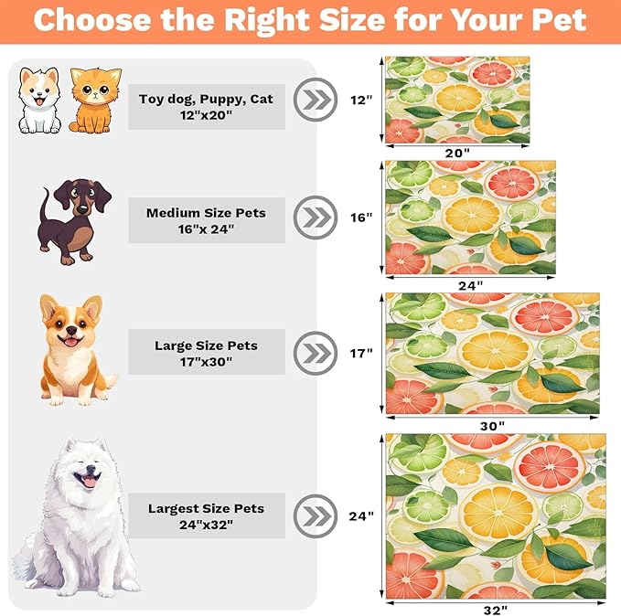 Lemon Fruit Dog Food Mat for Floors Absorbent Dog Bowl Mat for Food and Water Dispenser Quick Dry Cat Food Placemat Pet Supplies 24" x 32", Green Leaves