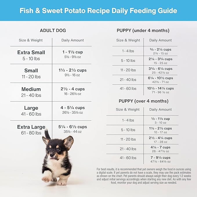 Just Food for Dogs Nutrient Blend, Vitamins and Supplements for Homemade Dog Food, Fish and Sweet Potato, DIY Fresh Pet Meals and Toppers, Human Grade Quality, Dog Multivitamin Additive, 4.55oz