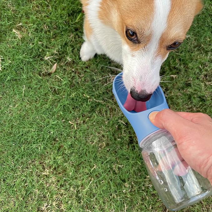 WePet Portable Dog Water Bottle, 25 OZ, Leak Proof Puppy Water Dispenser with Drinking Feeder for Pets Outdoor Walking, Hiking, Travel, Food Grade Plastic