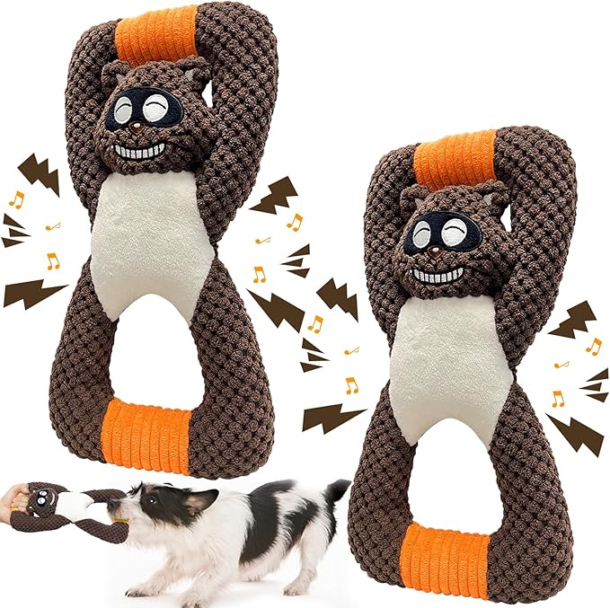 Squeaky Dog Chew Toys for Aggressive Chewers, Toys for Large Medium Small Breed Dog, Indestructible Tough Durable Dogs Toys(2Pcs Raccoon)