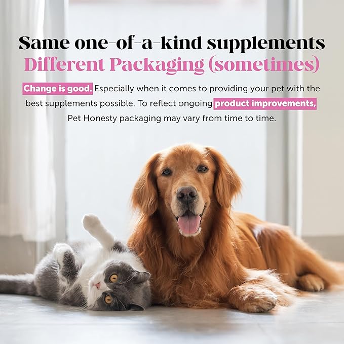Pet Honesty Dog Skin and Coat Supplement with Salmon Oil for Dogs - Allergy Itch Relief + Skin & Coat Health, Dog Food Topper Bone Broth with Salmon Oil, Collagen, Biotin + Vitamin E (12 oz)