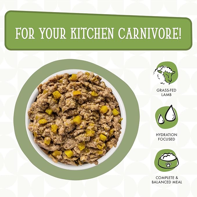 Weruva Dogs in The Kitchen, Lamburgini with Lamb & Pumpkin Au Jus Dog Food, 2.8oz Pouch (Pack of 12), Green