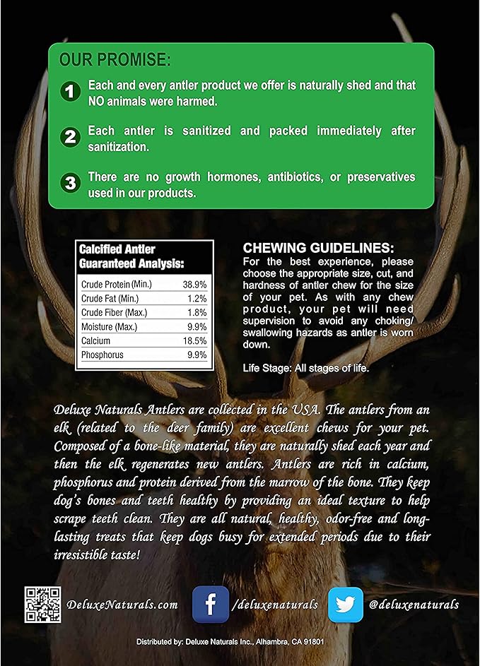 1-LB Medium Mixed Whole & Split Elk Antler Dog Chews (5.5-8+ in) – Long Lasting Natural Treats for Small to Medium Dogs Under 40 lbs – Durable Bones for Teeth Cleaning