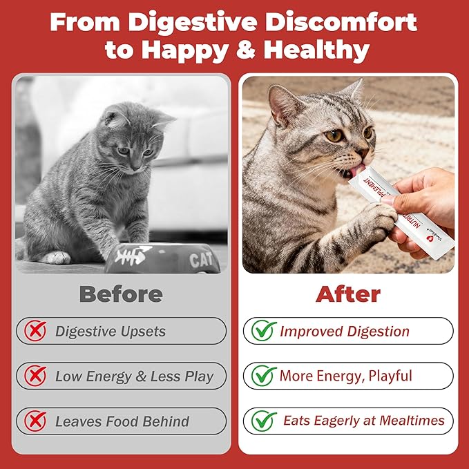 Probiotics for Cats & Digestive Support Gel – Cat Probiotic with Prebiotics, Taurine & Papain – Supports Gut Balance, Digestive Support & Immune Health – for Kittens & Adult Cats, Constipation Relief