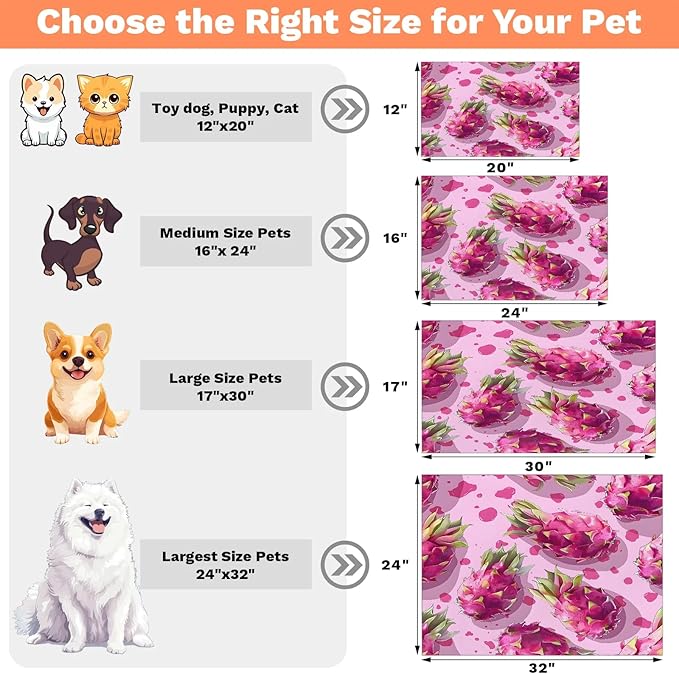 Dragon Fruit Dog Food Mat for Floors Absorbent Dog Bowl Mat for Food and Water Dispenser Quick Dry Cat Food Placemat Pet Supplies 24" x 32", Summer Fruits