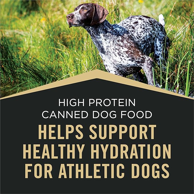 Purina Pro Plan Sport High Protein Wet Dog Food Beef and Bison Entrée - (Pack of 12) 13 oz. Cans