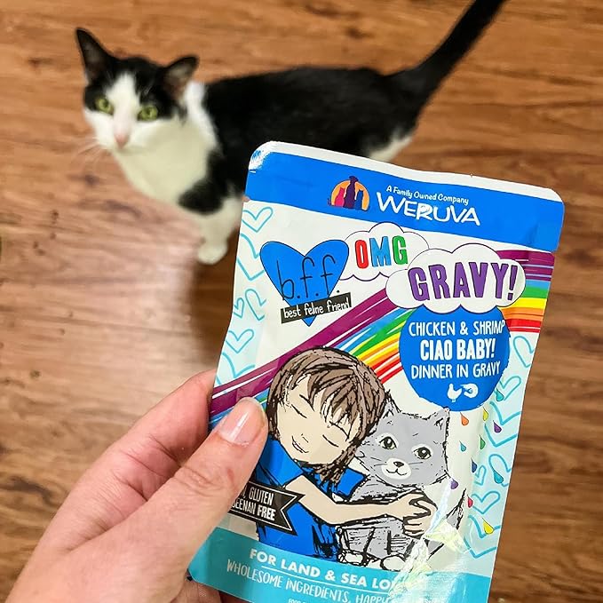 Weruva B.F.F. OMG - Best Feline Friend Oh My Gravy!, Shazaam! with Lamb & Tuna in Gravy Cat Food, 2.8oz Pouch (Pack of 12)