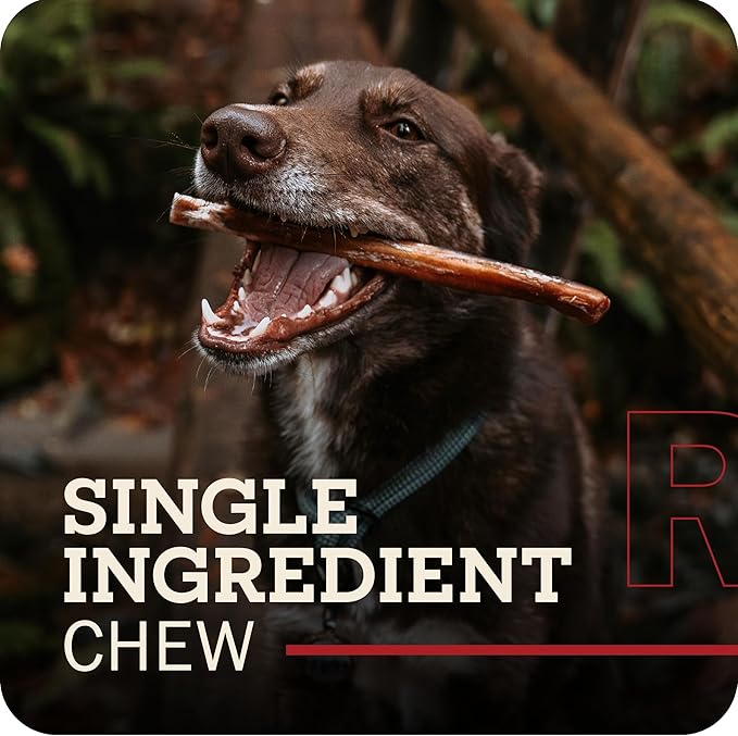 Redbarn Pet Products All-Natural Bully Stick Rings for Dogs - Long Lasting Rawhide Chew Treat - Case of 35