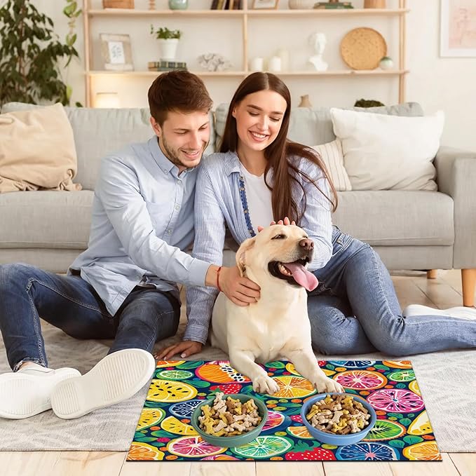 Watercolor Lemon Dog Food Mat for Floors Absorbent Dog Bowl Mat for Food and Water Dispenser Quick Dry Cat Food Placemat Pet Supplies 17" x 30", Colorful Fruit