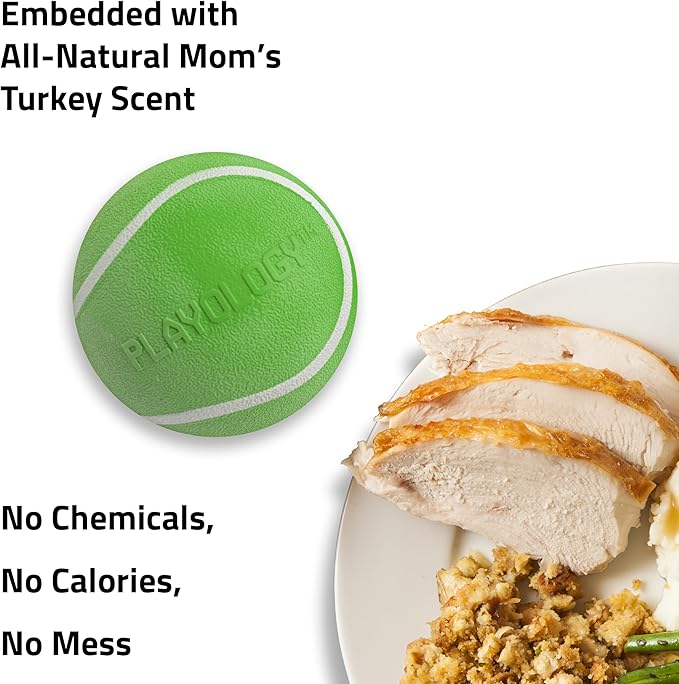 Playology Dog Toys | Squeaky Chew Ball - Bouncy Durable Floating Fetch Ball for Dogs | Medium Mom's Turkey Scented Toy - Easy to Clean and Made from Non Toxic Materials