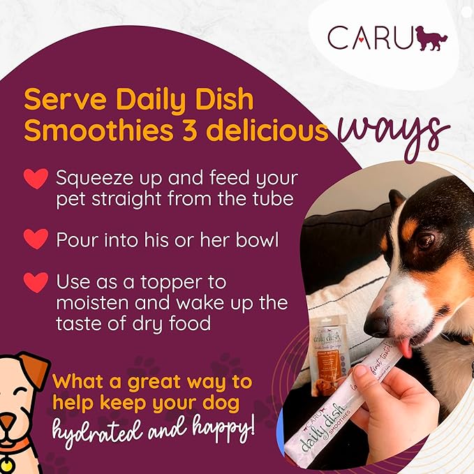 Caru - Daily Dish Smoothies - Lickable Chicken Dog Treat - .5oz Tubes - 4 Pouches Per Pack - Pack of 12