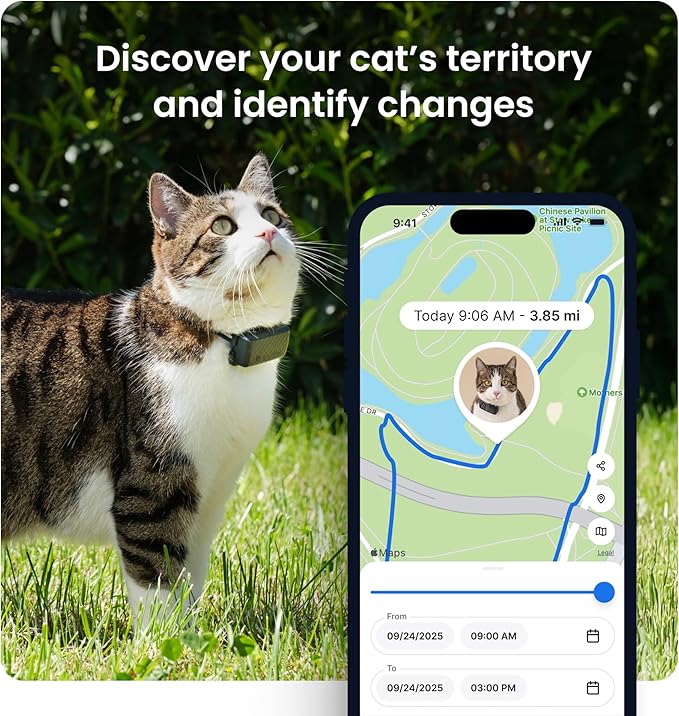 Tractive XL Smart Dog GPS Tracker | Live Pet Tracker with Virtual Fence | Vital Signs Monitoring of Heart & Respiratory Rate | Up to 1-Month Battery Life | Dog Collar Attachment (Green)