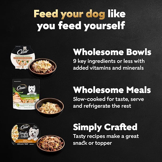 Cesar Wholesome Meals Wet Dog Food Chicken, Carrots, Barley & Green Beans Recipe, Wet Food for Dogs, 17.6 oz Pouch, 12 Count
