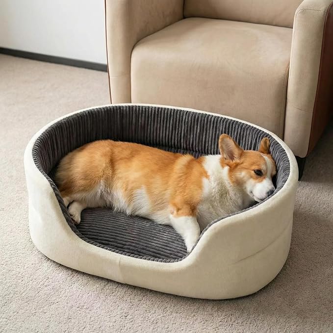 Small Dog Bed Cat Bed 16x20 Inch, Calming Pet Bed for Puppies, Teacup Dogs & Kittens, Half-Enclosed Open-Top Velvet Anti-Anxiety Bed, Machine Washable Cozy Snuggle Bed (White)