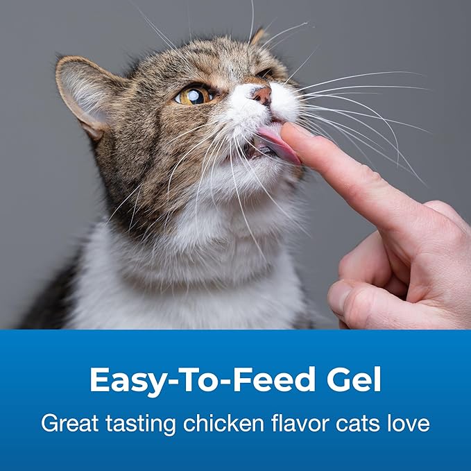 PetAg Vitamin & Mineral Gel Supplement for Cats - 3.5 oz, Pack of 2 - Provides Basic Daily Vitamins & Minerals for Cats 4 Months and Older - Easy to Digest