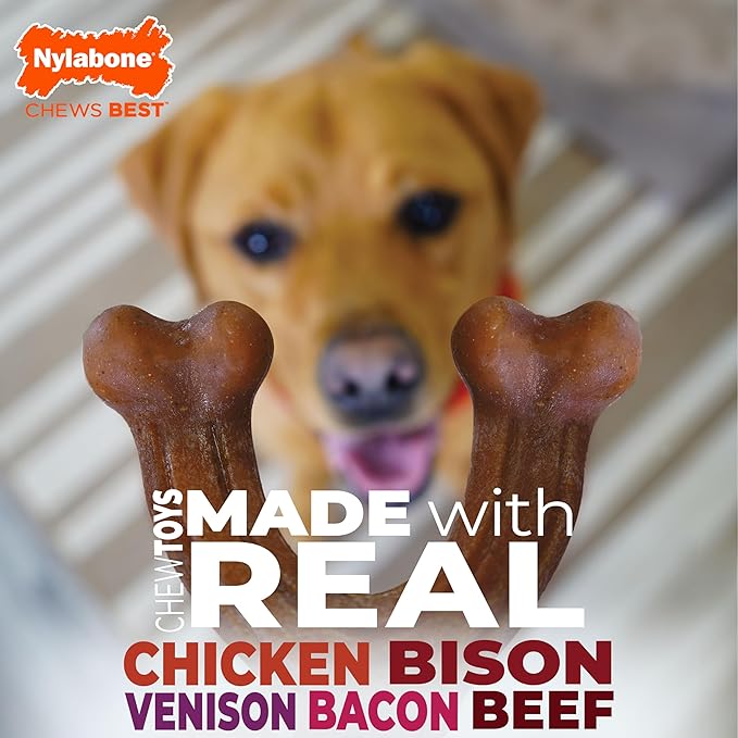 Nylabone Wishbone Strong Chew Toy for Dogs Made with Real Bacon, Durable Dog Chew Bones for Aggressive Chewers, Long-Lasting Flavor Keeps Dogs Busy, Small Dog Toys - Up to 25 lbs, 1 Count