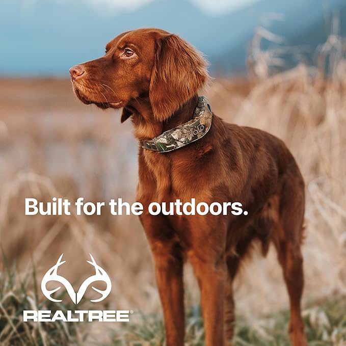 Halo Collar 5, New Wireless Dog Fence & GPS Dog Collar, Subscription Required, Waterproof, Realtree Camo, One Size