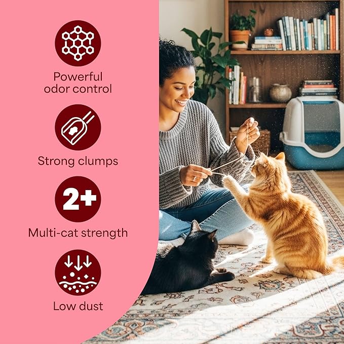Fresh Step Odor Shield Advanced Multi Cat Clumping Litter with Febreze, 18.5 lb Each, Pack of 2 (Package May Vary)
