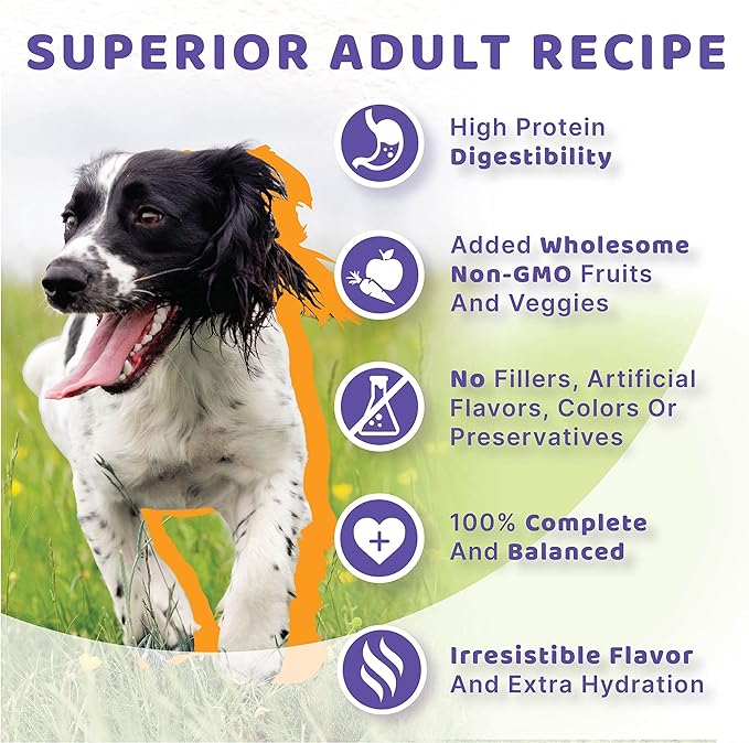 Halo Healthy Grains Adult Dog Wet Food, Chicken Recipe in Broth, 13.2 oz, Case of 6