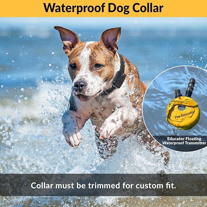 Educator E-Collar Humane Dog Training Collar with Remote - 100 Levels Safe Tapping Sensation Night Light Waterproof Rechargeable 3/4 Mile, includes Premium Finger Clicker for Small/Medium Dog, Yellow